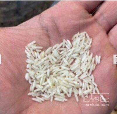 فروش برنج