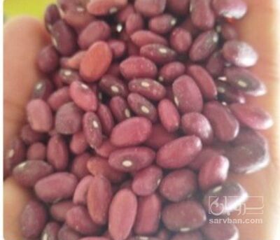 فروش لوبیا قرمز