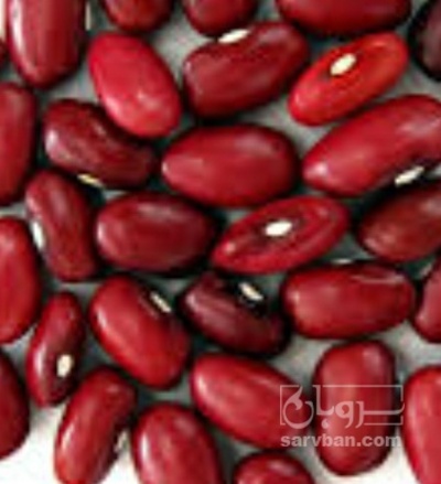 فروش لوبیا قرمز