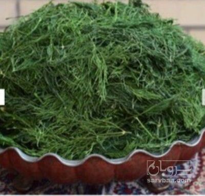فروش شوید خشک (گیاه‌ دارویی)
