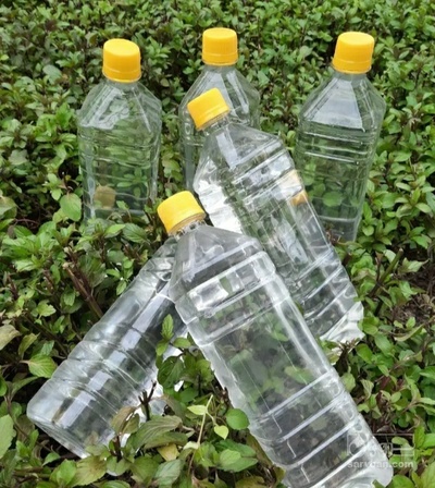 فروش عرق شاتره