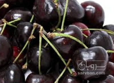 فروش گیلاس