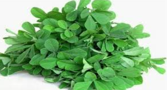 فروش شنبلیله