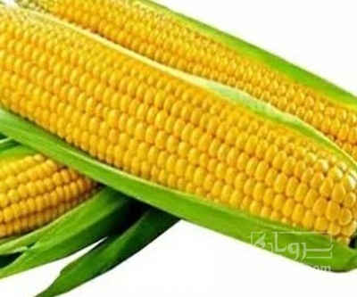 فروش ذرت