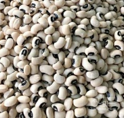 فروش لوبیا چشم بلبلی