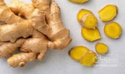 فروش زنجبیل (گیاه‌ دارویی)