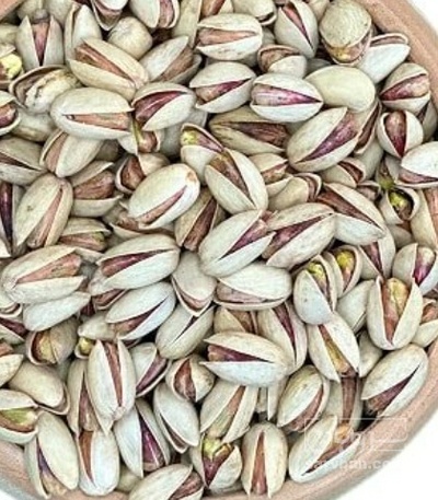 فروش پسته بادامی
