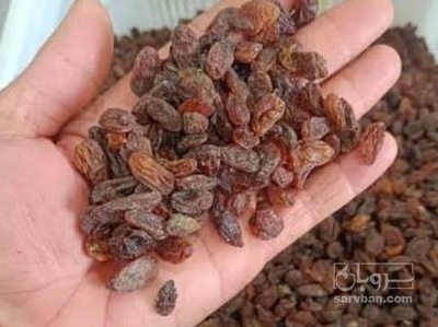 فروش کشمش افتابی
