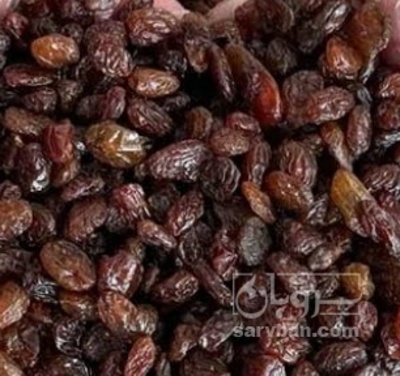 فروش کشمش محلی