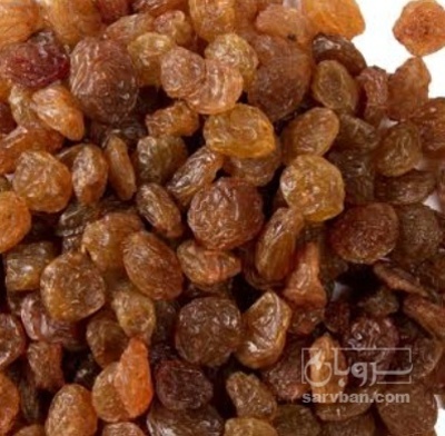 فروش کشمش تیزابی