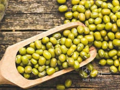 فروش زیتون رویال