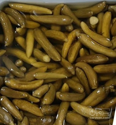 فروش خیار شور نول حلب