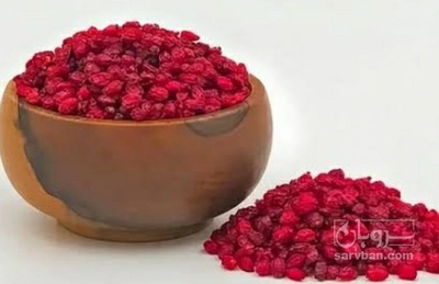 فروش زرشک اناری