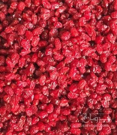 فروش زرشک زیرتالاری