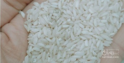 فروش برنج