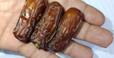 فروش خرما