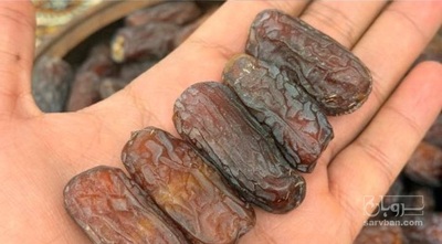 فروش خرما