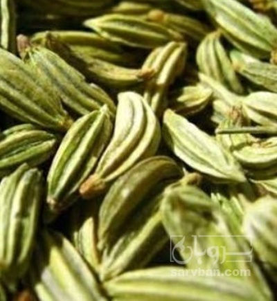 فروش زیره (گیاه‌ دارویی)