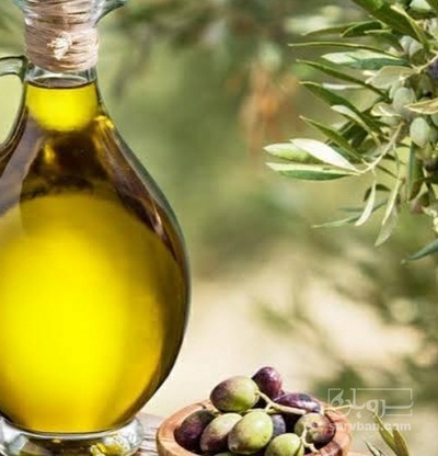 فروش روغن زیتون بی بو