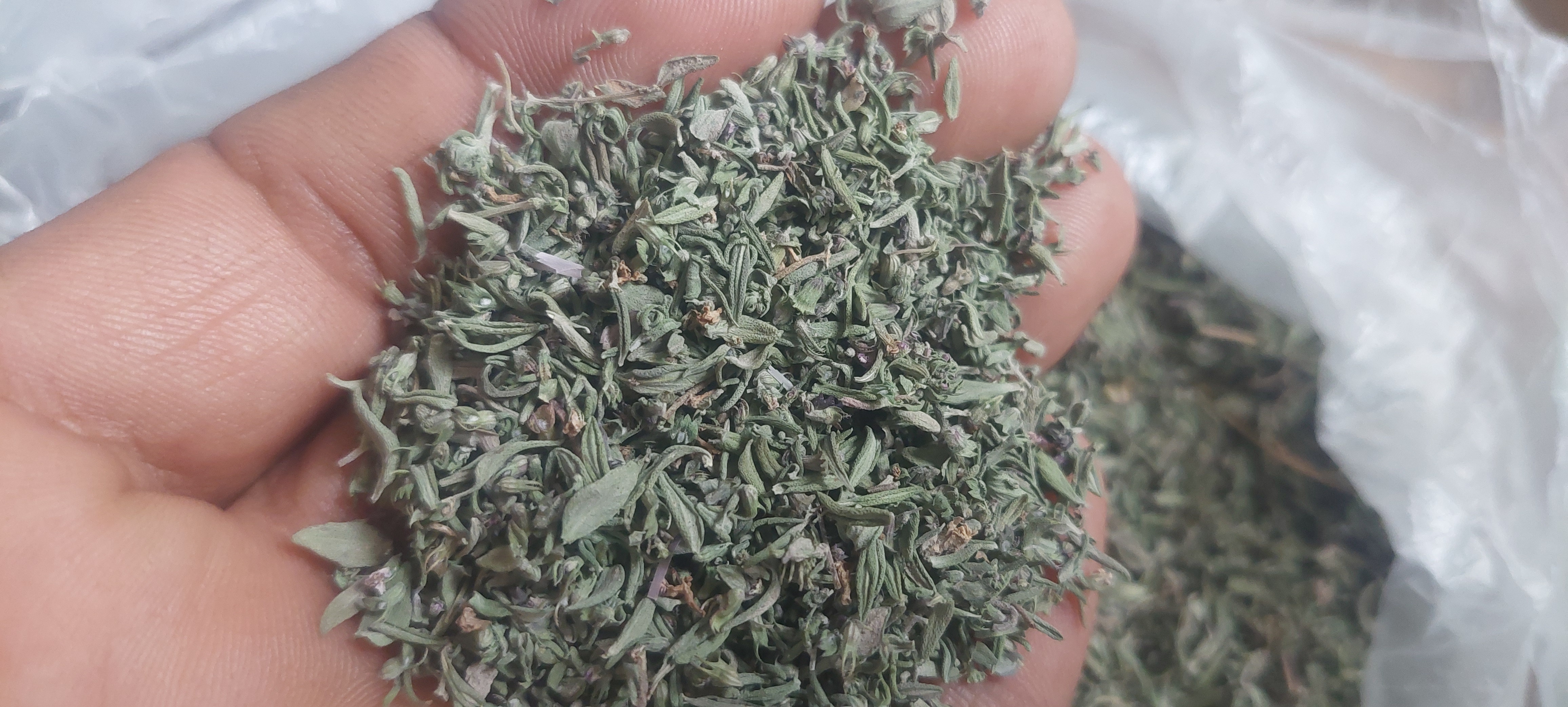 فروش آویشن خشک (گیاه‌ دارویی)