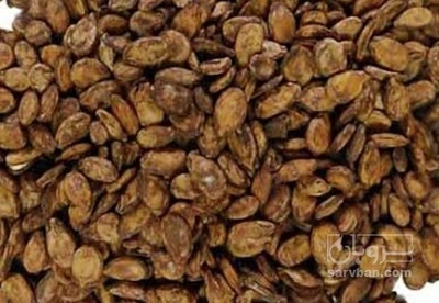 فروش تخمه هندوانه کلاله