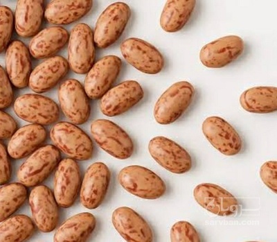 فروش لوبیا چیتی
