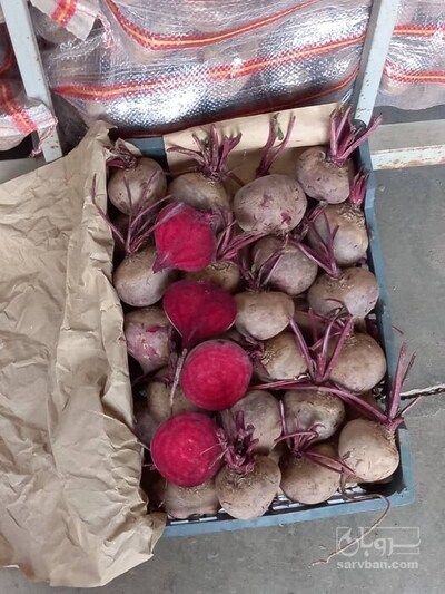 فروش چغندر لبو