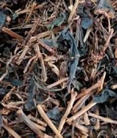 فروش چوب چای