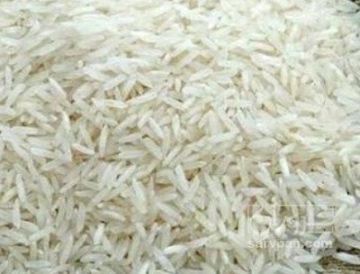 فروش برنج هاشمی