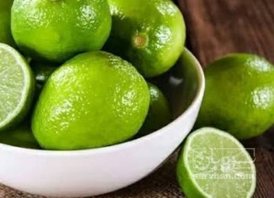 فروش لیمو ترش