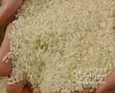 فروش برنج هاشمی