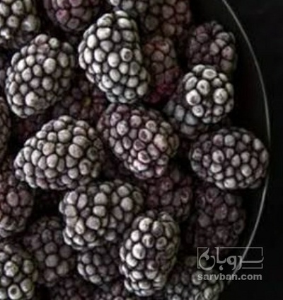 فروش بلک بری منجمد