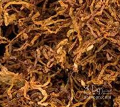 فروش توتون