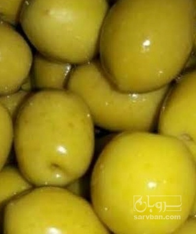 فروش زیتون بادامی