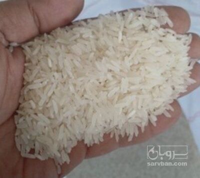 فروش برنج