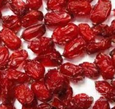 فروش زرشک