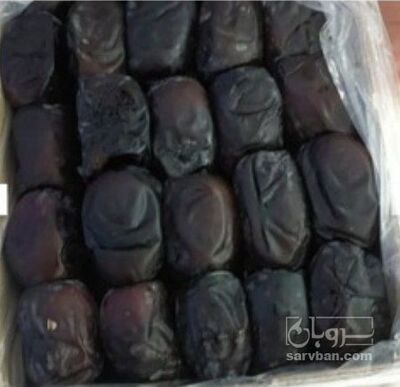 فروش خرما