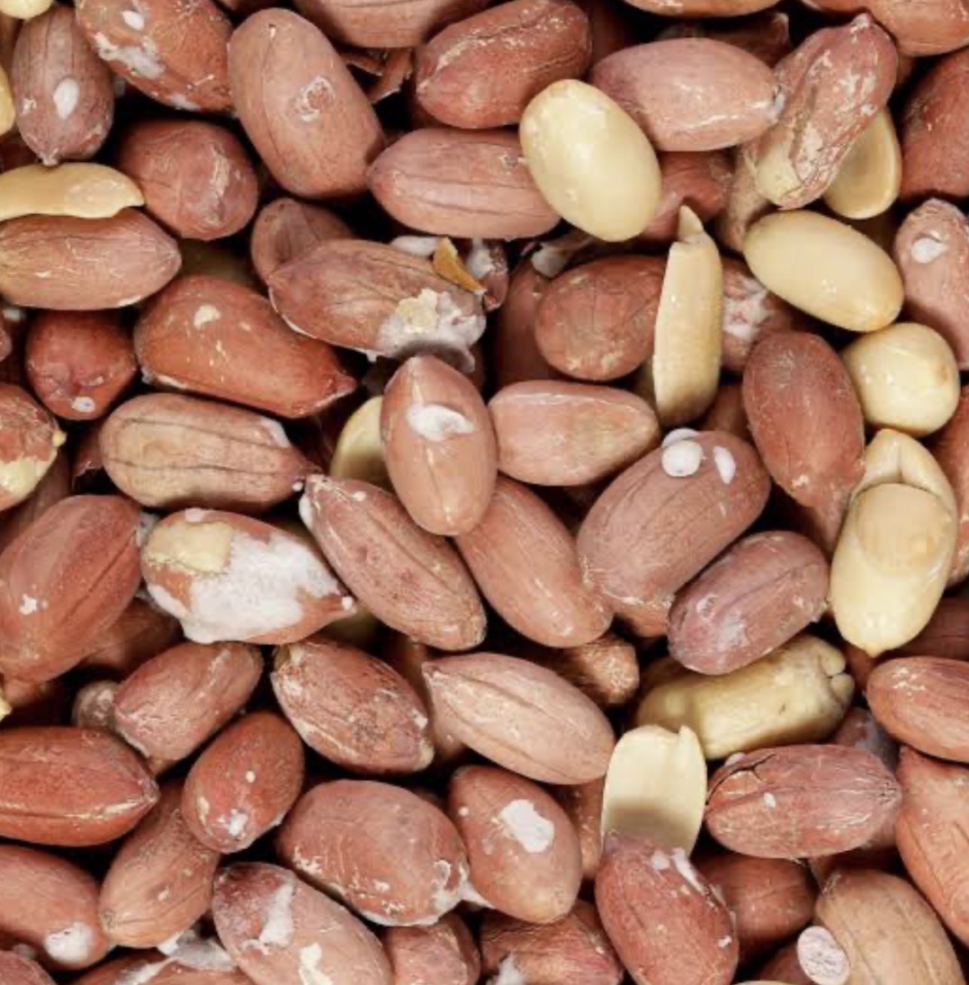 فروش بادام زمینی
