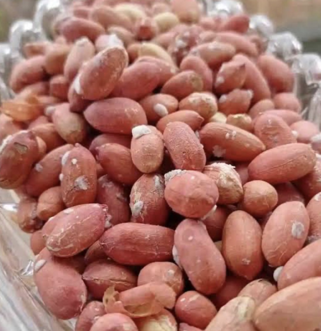 فروش بادام زمینی