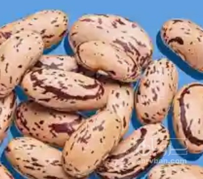 فروش لوبیا چیتی