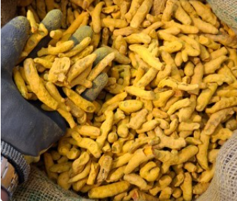 فروش پودر زردچوبه