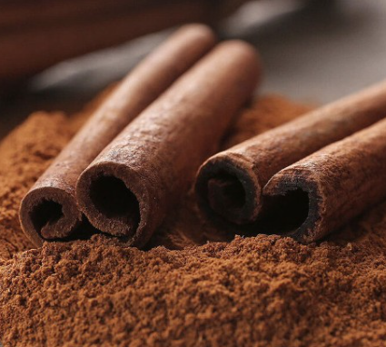 فروش چوب دارچین