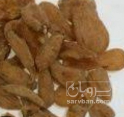 فروش ثعلب (گیاه‌ دارویی)