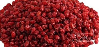 فروش زرشک اناری