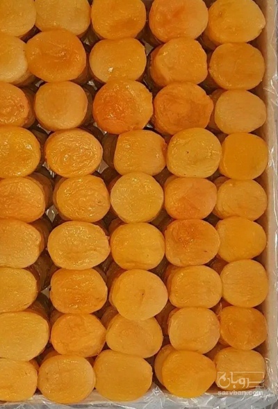 فروش برگه قیسی