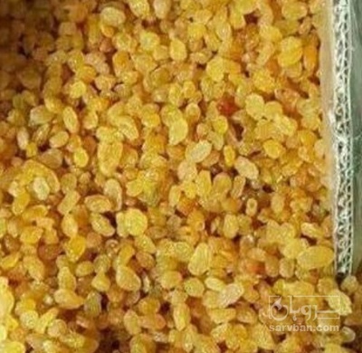 فروش کشمش آفتابی طلایی