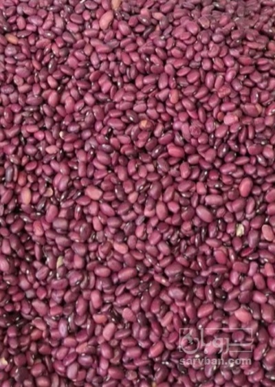فروش لوبیا قرمز