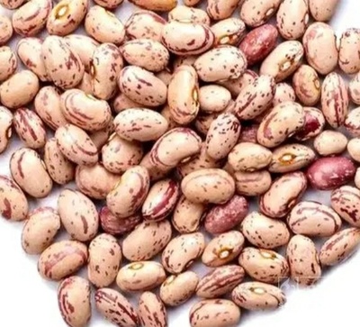 فروش لوبیا چیتی