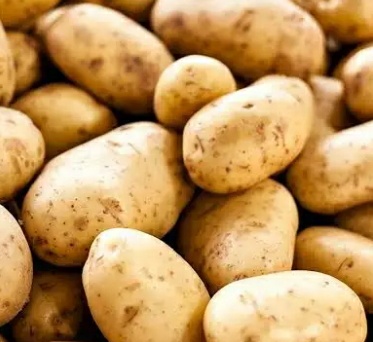 فروش سیب زمینی
