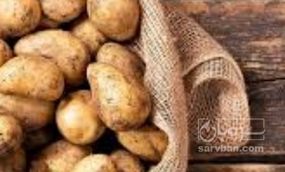 فروش سیب زمینی